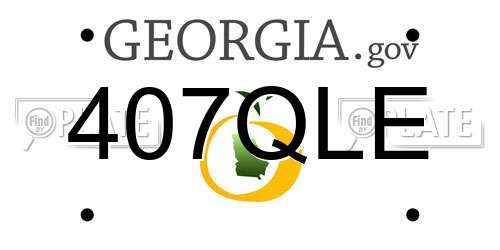 407QLE Georgia License Plate