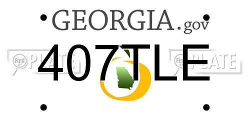 407TLE Georgia License Plate