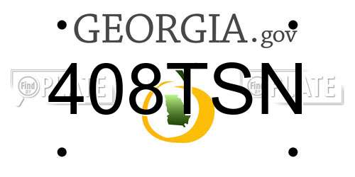 408TSN Georgia License Plate