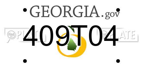 409T04 Georgia License Plate