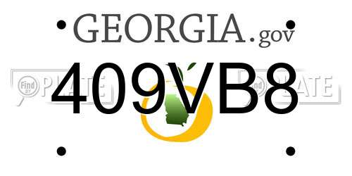 409VB8 Georgia License Plate