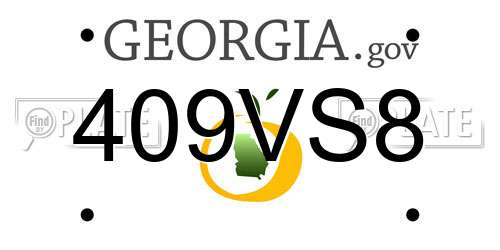 409VS8 Georgia License Plate