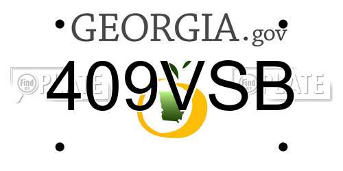 409VSB Georgia License Plate