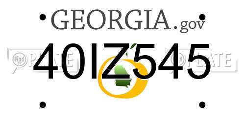 40IZ545 Georgia License Plate