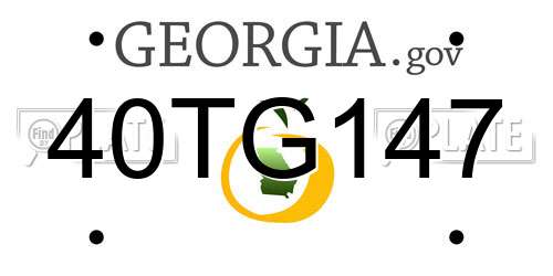 40TG147 Georgia License Plate