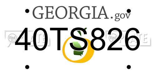 40TS826 Georgia License Plate