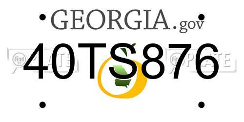 40TS876 Georgia License Plate