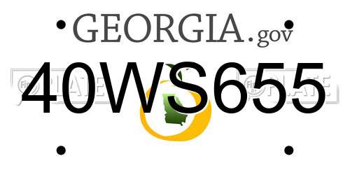 40WS655 Georgia License Plate