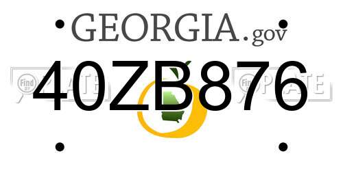 40ZB876 Georgia License Plate