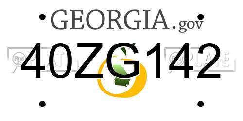 40ZG142 Georgia License Plate