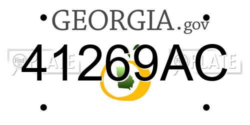 41269AC Georgia License Plate