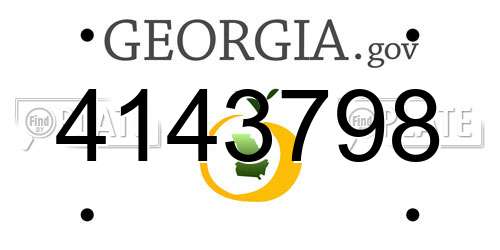 4143798 Georgia License Plate