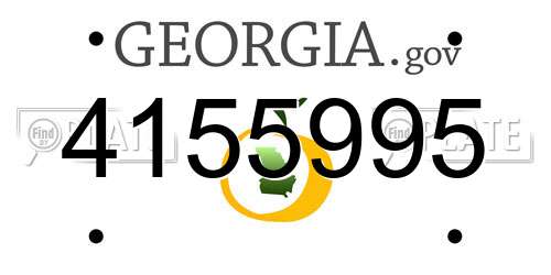 4155995 Georgia License Plate
