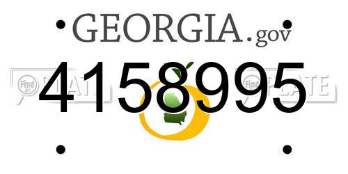 4158995 Georgia License Plate