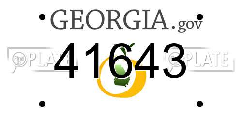 41643 Georgia License Plate