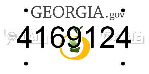 4169124 Georgia License Plate