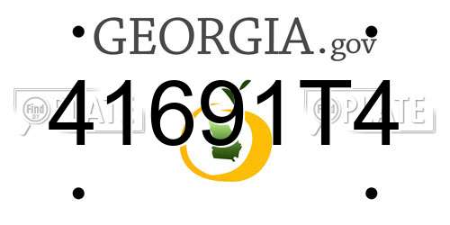 41691T4 Georgia License Plate