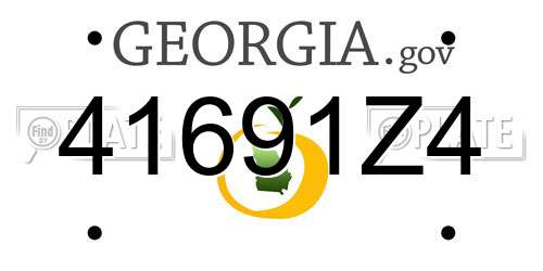 41691Z4 Georgia License Plate