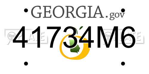 41734M6 Georgia License Plate