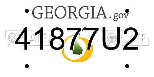 41877U2 Georgia License Plate