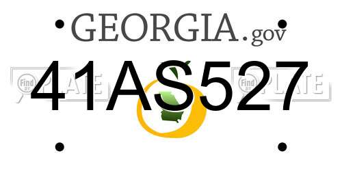 41AS527 Georgia License Plate