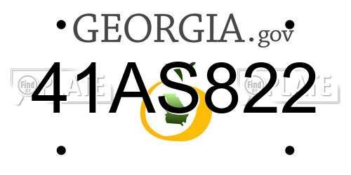 41AS822 Georgia License Plate