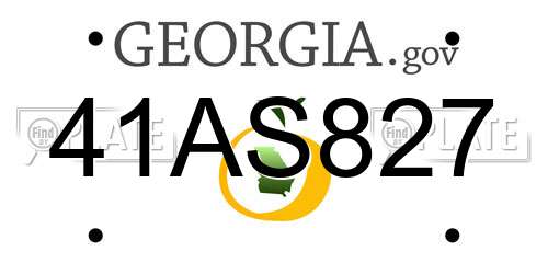 41AS827 Georgia License Plate
