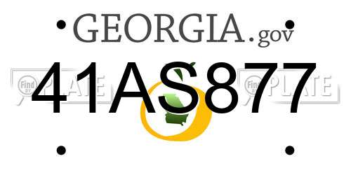 41AS877 Georgia License Plate