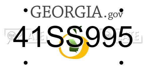41SS995 Georgia License Plate