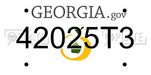 42025T3 Georgia License Plate