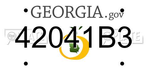 42041B3 Georgia License Plate