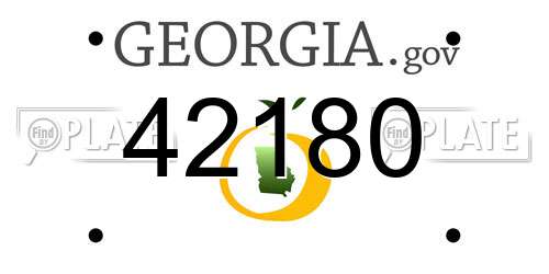42180 Georgia License Plate