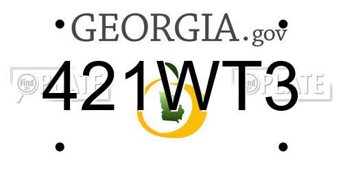 421WT3 Georgia License Plate