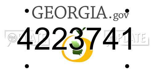 4223741 Georgia License Plate