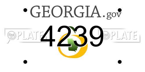 4239 Georgia License Plate