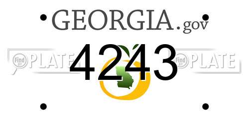 4243 Georgia License Plate