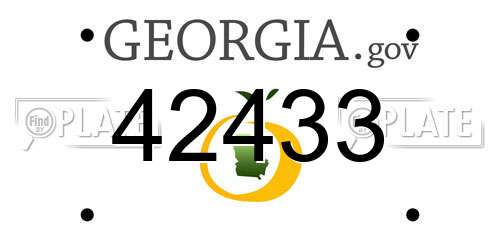 42433 Georgia License Plate