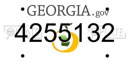 4255132 Georgia License Plate