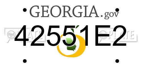 42551E2 Georgia License Plate