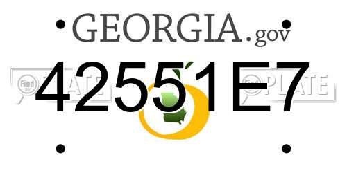 42551E7 Georgia License Plate