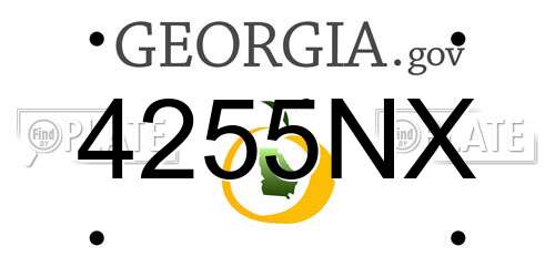 4255NX Georgia License Plate