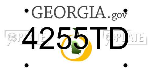 4255TD Georgia License Plate
