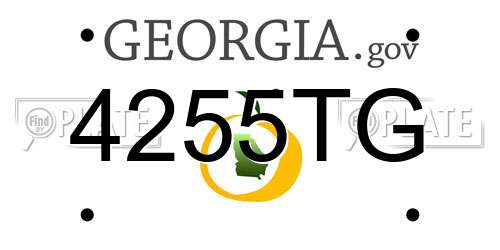 4255TG Georgia License Plate