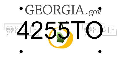 4255TO Georgia License Plate