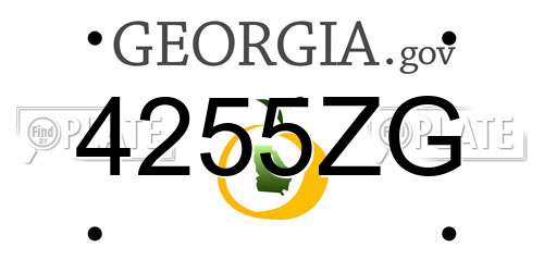 4255ZG Georgia License Plate