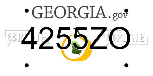 4255ZO Georgia License Plate