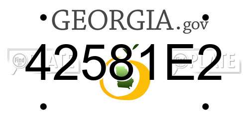 42581E2 Georgia License Plate