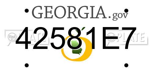 42581E7 Georgia License Plate
