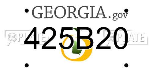 425B20 Georgia License Plate