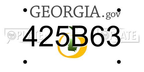 425B63 Georgia License Plate